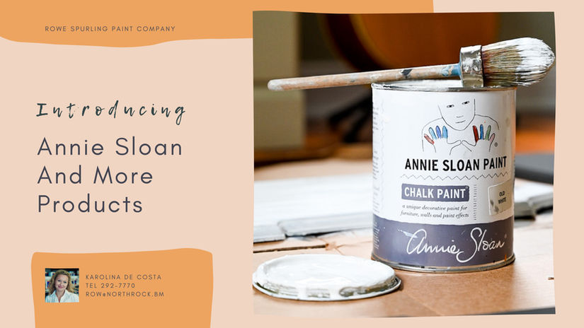 Annie Sloan + More